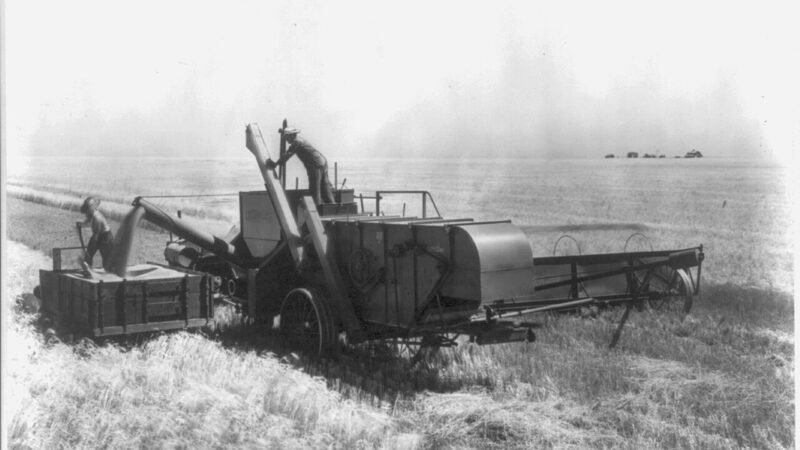 Combine harvester cutting wheat in a Kansas field