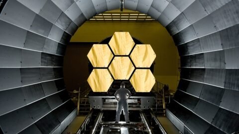Webb Telescope Spots Its First Entirely New Exoplanet, a Young Gas Giant Called TWA 7b